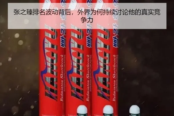 张之臻排名波动背后，外界为何持续讨论他的真实竞争力